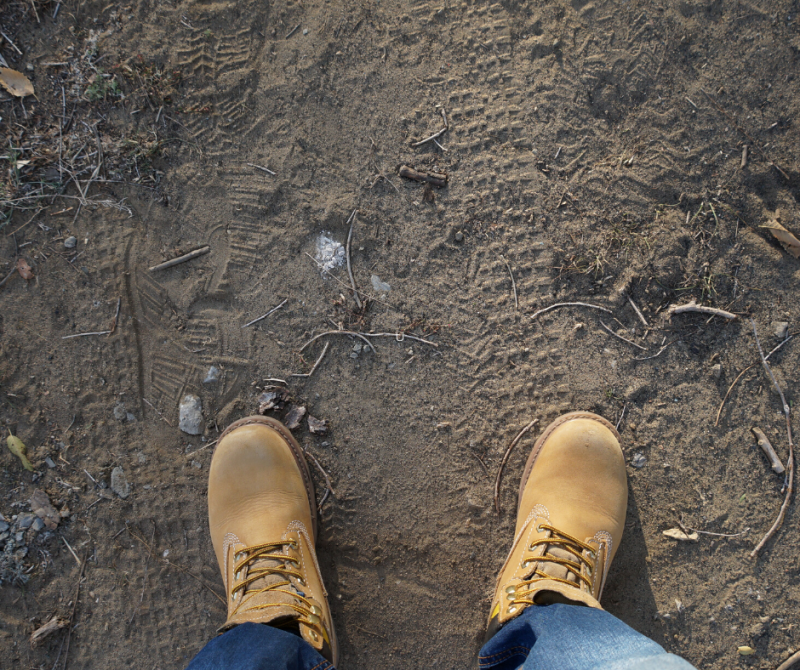 Le bornage du terrain : pourquoi faire ?